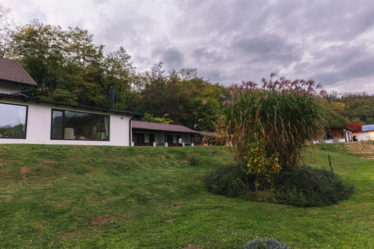 Отель Casa Tirol Blaj Экстерьер фото